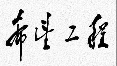 你只看到“團省委副書記”，卻不了解這項“工程”有多偉大