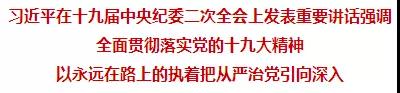 習近平：重整行裝再出發，以永遠在路上的執著把全面從嚴治黨引向深入